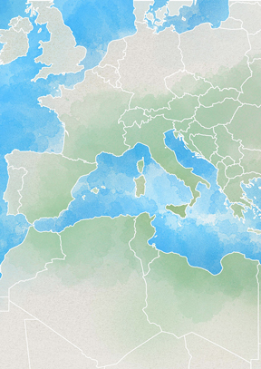europa-project-week-edizione-2028-mediterraneo